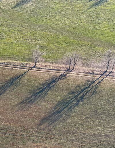 fotografia aerea da drone piemonte